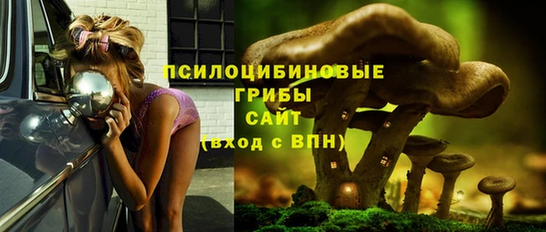 таблы Алзамай